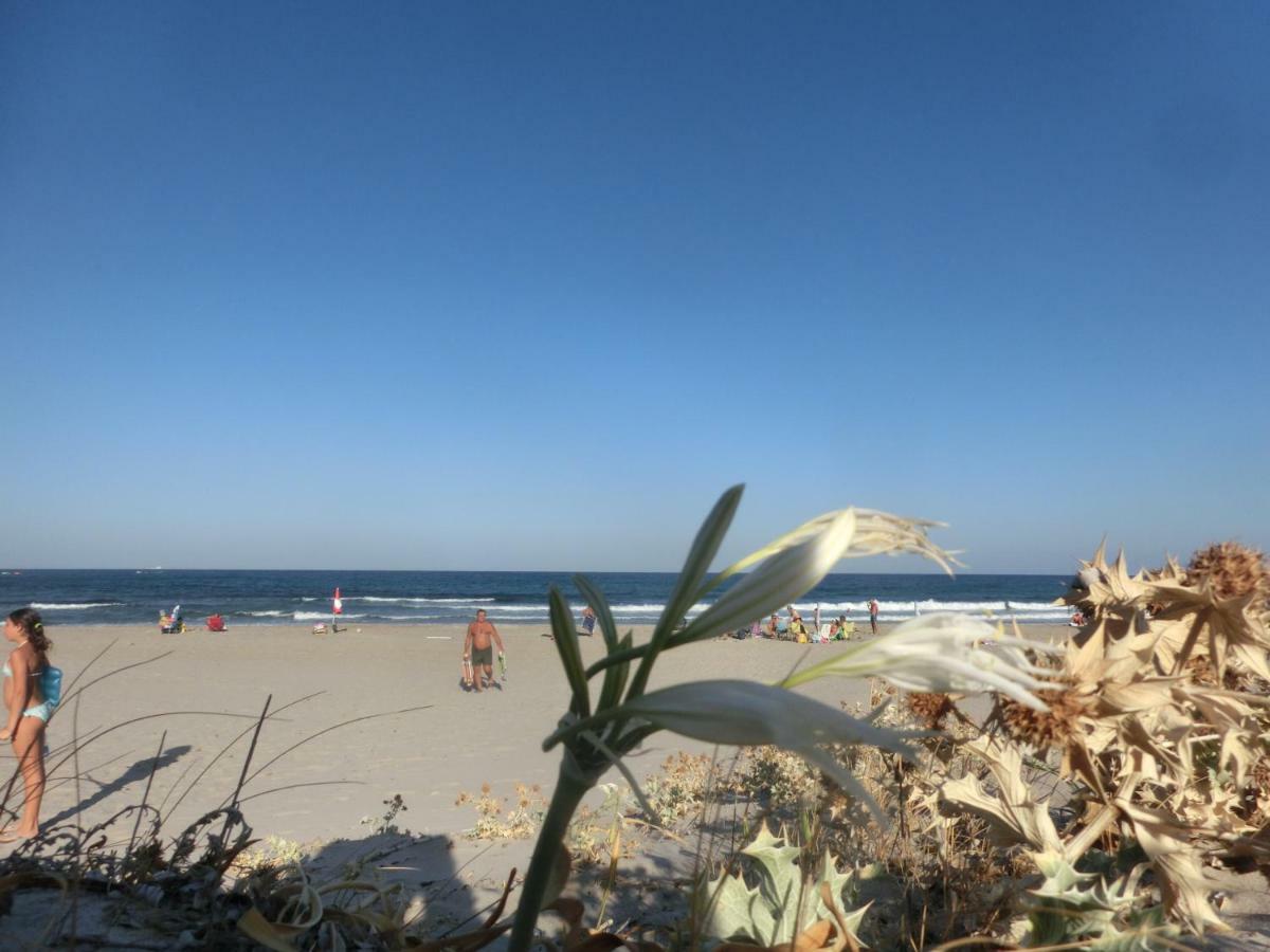 La Costa Est Villa Con Vista Mare In Ogliastra Sardegna Tertenìa Екстериор снимка